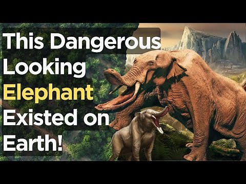 Amebelodon: The Prehistoric Elephant