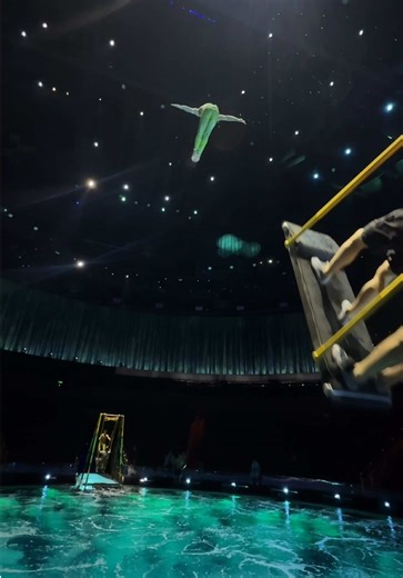 Fun jumps 🤙🤙 #diver #houseofdancingwater #russianswing #show #training