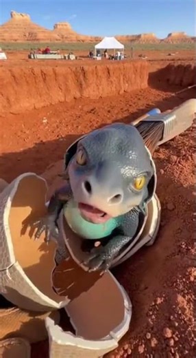 ARCHAEOLOGIST FINDS HUGE EGG! 🥚➡️💥 Something JUMPS at the Camera! #GiantEgg #Archaeology