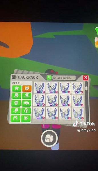 Poorest Adopt Me Player Shares Experience