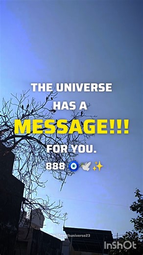 this message will find you at the right time 8:88 🕊️✨🧿 angel message for you #universemessage #888