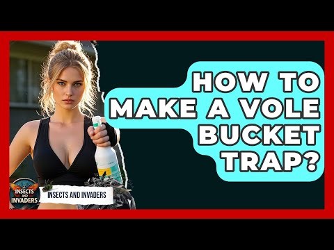 How To Make A Vole Bucket Trap? - Insects and Invaders
