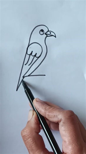 how to draw beautiful and easy bird 🐣🐤with 2