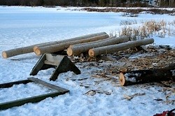 The Building of our Log Sauna