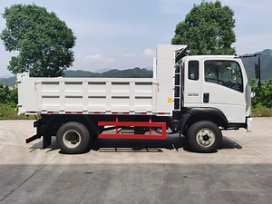 [Hot Item] Sinotruk HOWO 5t 4X2 Dump Truck Light