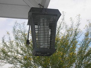 Bug zapper causes vision problems for Durham VA staff, resident