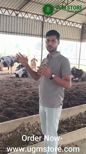 Real Desi Ghee Making Process | Bilona Method | From Gaushala to Home