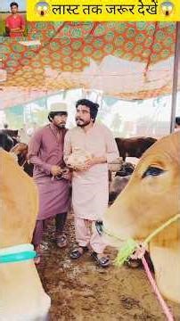 The Voice That Touches Every Soul 💖 | Power of Azan 🕋 #shorts #quran #viral