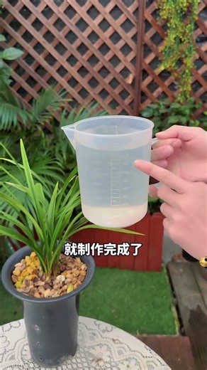 Homemade powerful flowering water for orchids#Orchid#Flowers and green plants#Tips for