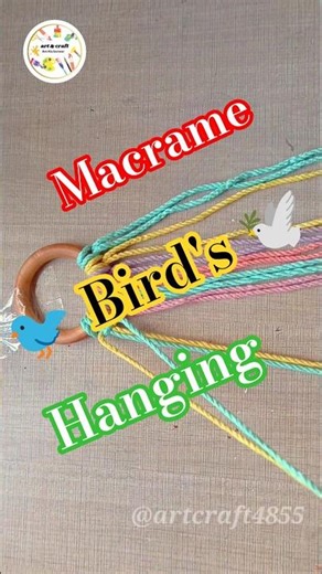 Macrame Bird's 🐦🕊️🥰 Hanging #trending #shorts #diy #smallhanging #wallhanging #birdshanging