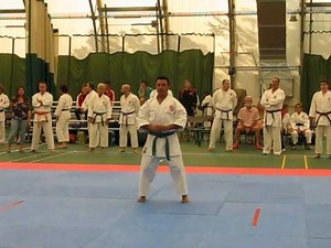 Chito Ryu Ro Hai Sho by William Linares