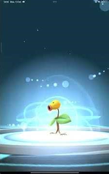 Caught 100% IV Weepinbell ⭐ #pokemongo #pokemon #weepinbell #wildpokemon #xiaomipad6