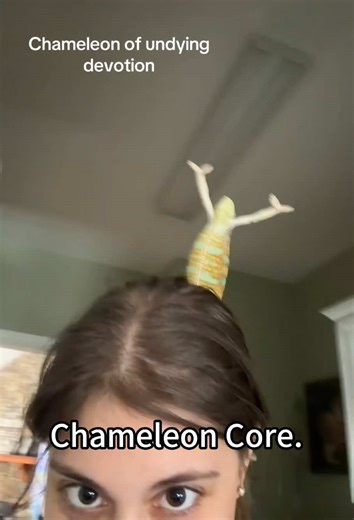 Chameleon Core. #Chameleon #FunnyPets #AnimalComedy #viral #fyp | chameleon