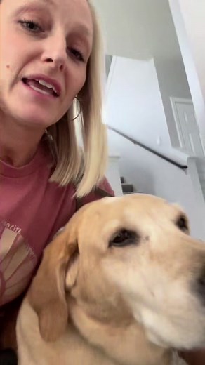 Meet Charlie: My Amazing Service Dog Journey