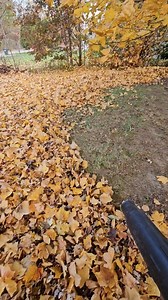 2.5K views · 133 reactions | There is something so satisfying about blowing leaves, lol. The only thing that makes it more fun is a bigger blower Bringing out the BIG BLOWER TOMORROW 藍 | Spencer Lawn Care & Life | Facebook