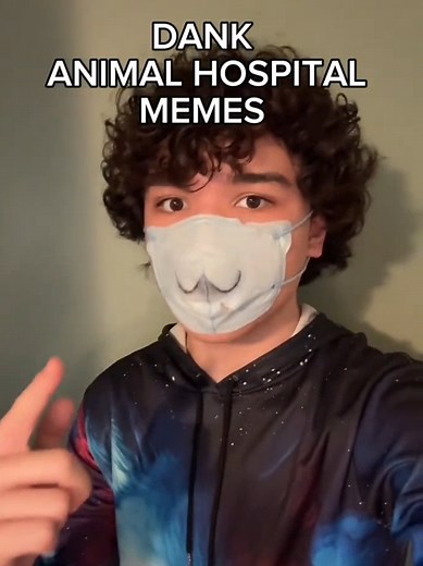 Мемы из Animal Hospital: угарные шутки из Roblox