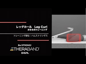 【公式】チューブ トレーニング 太もも レッグカール ハムストリングス-Leg Curl