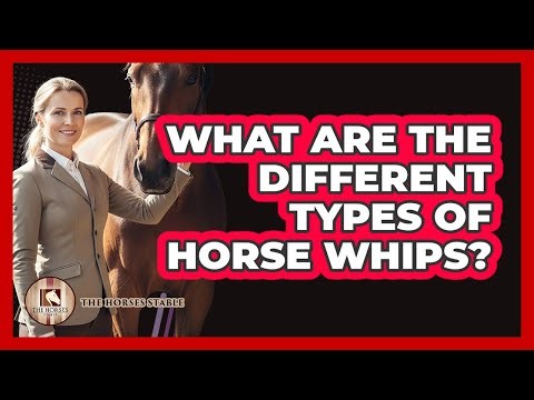 What Are The Different Types Of Horse Whips?