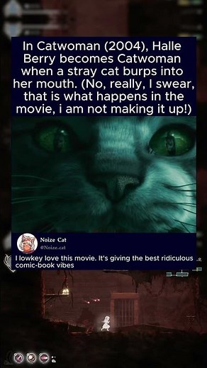 In Catwoman (2004), Halle Berry becomes Catwoman when a stray cat burps into her