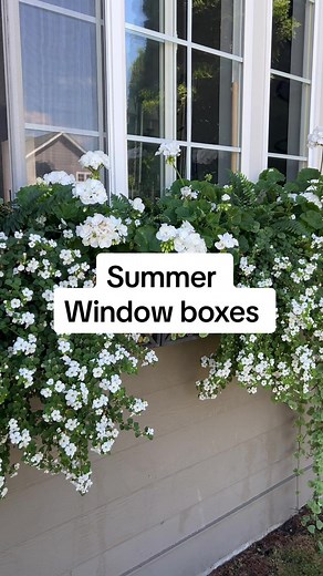 Beautiful Metal Window Planter Box Ideas for Your Garden