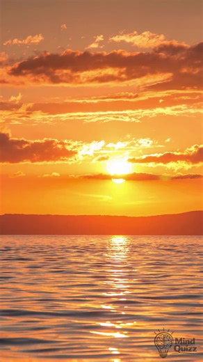 Hottest US State Quiz: General Knowledge Challenge