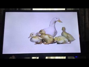 Closing to Baby BumbleBee 123 Volume 2 VHS