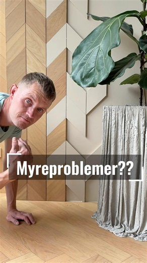 Sådan bliver du fri for myrer