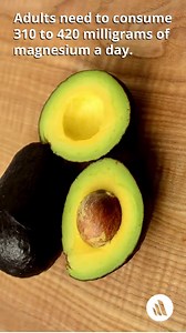 Magnesium is required by all enzymatic processes involving ATP (adenosine triphosphate) and by many of the enzymes involved in nucleic acid metabolism. Refresh your knowledge: https://mrkmnls.co/3INkgnN | Merck Manual Professional