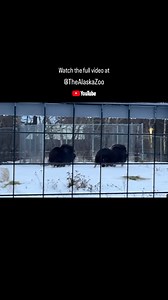 1K views · 331 reactions | We are so excited to announce the habitat...