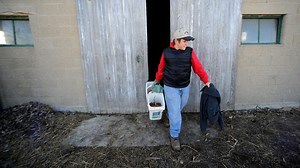 Labor Department introduces new measures to prevent child labor