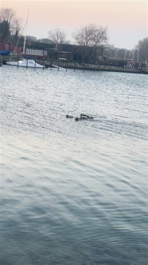 2500 Valby (@2500.valby)’s videos with 오리지널 사운드 - Soul Flying Star