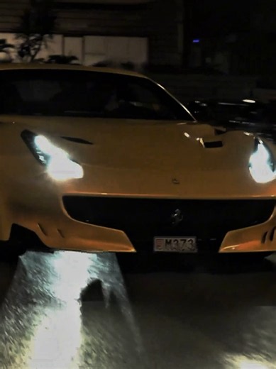 Monaco supercars: luxury car tour and money moments