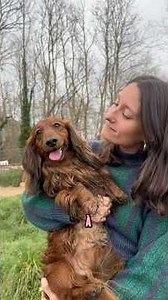 Elle a créé un refuge pour sauver des chiens abandonnés près d’Hossegor 🤎