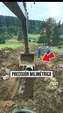This Excavator Operator Has Incredible Precision Skills