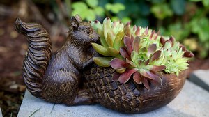 296K views · 12K reactions | There's no end to the things I want to fill with succulents!  | Garden Answer | Facebook