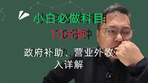 小白必学I10分钟，政府补助、营业外收入、递延收益、其他收益详解，包括资料收集！