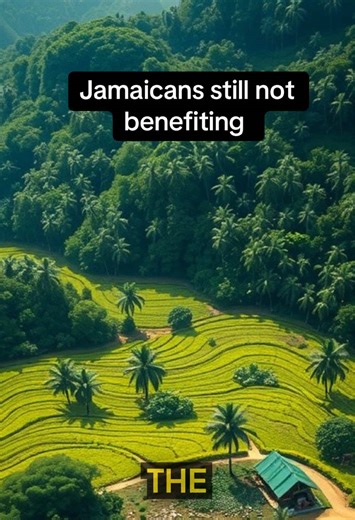 Jamaica emancipation 1838 land ownership Jamaica history colonial Jamaica land system post slavery Jamaica economy plantation estates Jamaica slavery in Jamaica aftermath Jamaican history erased #JamaicanHistory #Emancipation #SlaveryInJamaica #CaribbeanHistory #Jamaica