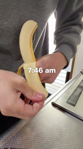 ミニトマト栽培のベストガイド🍅