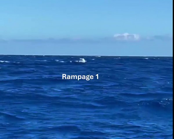 HavocAI demonstrates autonomous convoy protection in video | HavocAI posted on the topic | LinkedIn