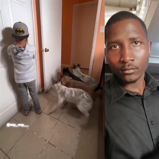 bonnycomic (@bonnycomic1)’s videos with heehhee laughs - FANGON UNIT PLATFORM ug🇺🇬