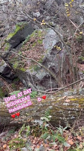 Donkey says: look at dat boulda! Thats a nice boulda!! Haha! #boulder #bigrock #nature#farts #poop