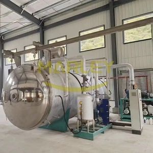 Chinese Industrial Freeze Dryer Automatic Freeze Drying Equipment Freezedryers