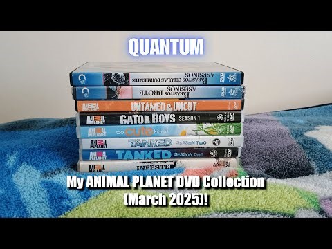 My Animal Planet DVD Collection! (March 2025)