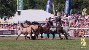 Ben Atkinson & his Action Horses are headlining the Main Arena at the Devon County Show 2026 🤯 You’ve seen them on Peaky Blinders & Poldark… now see them LIVE. Every. Single. Day. 🔥 📅 21–23 May 2026 🎟 Early Bird tickets end 28 Feb Don’t miss out — grab yours now at www.devoncountyshow.co.uk This is going to be HUGE 🐴✨ #DevonCountyShow #BenAtkinson #HorseTok #DevonEvents