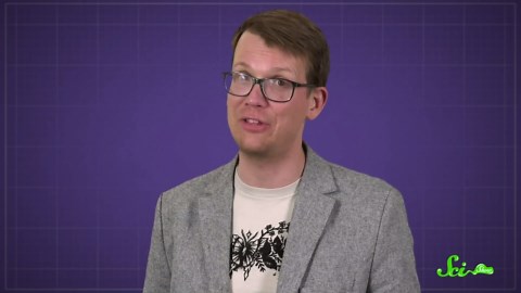 Why Do Flamingos Stand on One Leg?