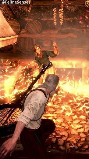 You can actually do this in The Witcher 3