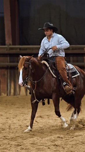 The Man Behind the Scenes | Paco Rodriguez We’re very blessed with an incredible team. The heart of our 2-year-old program is Paco Rodriguez, a man whose work ethic, feel, and dedication shape the future long before the bright lights of the futurity ever shine. Paco is proudly offering his own futurity prospect, 𝐒𝐩𝐨𝐭 𝐌𝐞 𝐁𝐞𝐢𝐧𝐠 𝐒𝐥𝐲 (Spots Hot x Sly Playgirl) — selling as Lot #️⃣3️⃣0️⃣8️⃣0️⃣at the Western Bloodstock Sale on Tuesday, December 2nd. Alongside his own consignment, Paco’s 