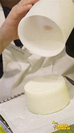Cheese school