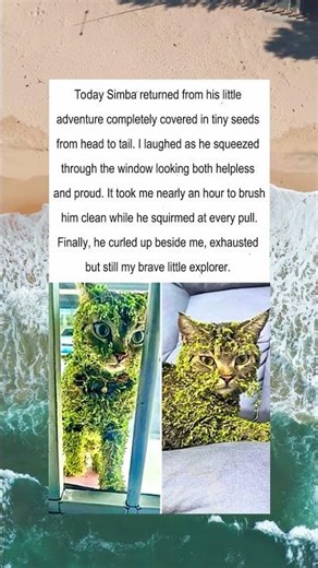 From Wild Explorer To Sleepy Cuddle Buddy 🐶