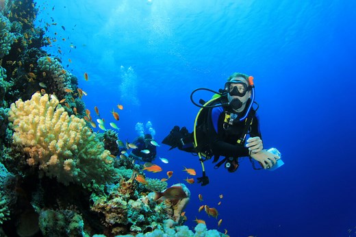 What Is Scuba Diving Like?